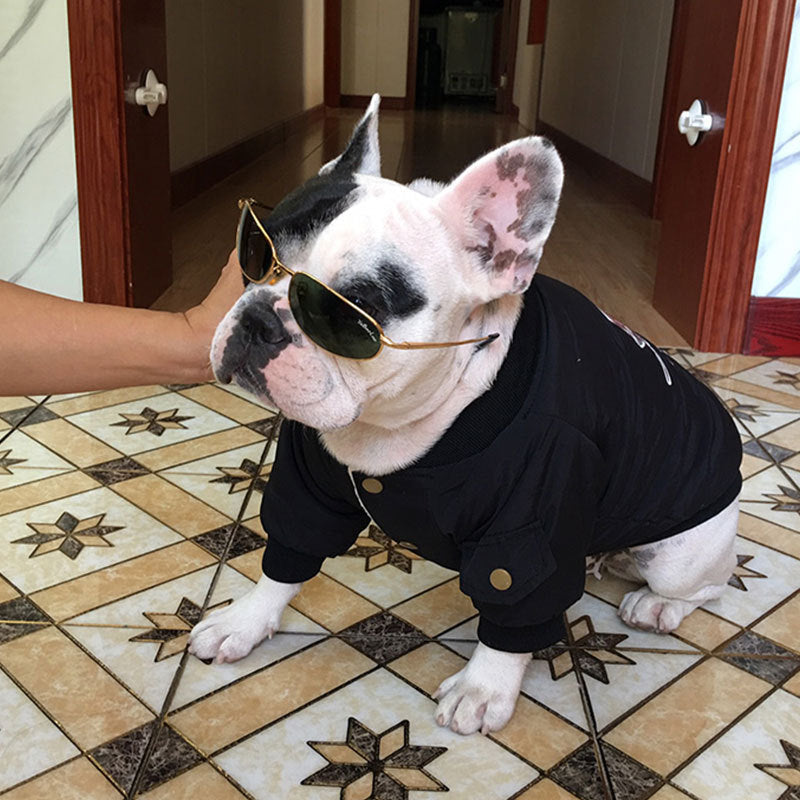 Dog Winter Clothes Padded Warm Jacket Plus Velvet